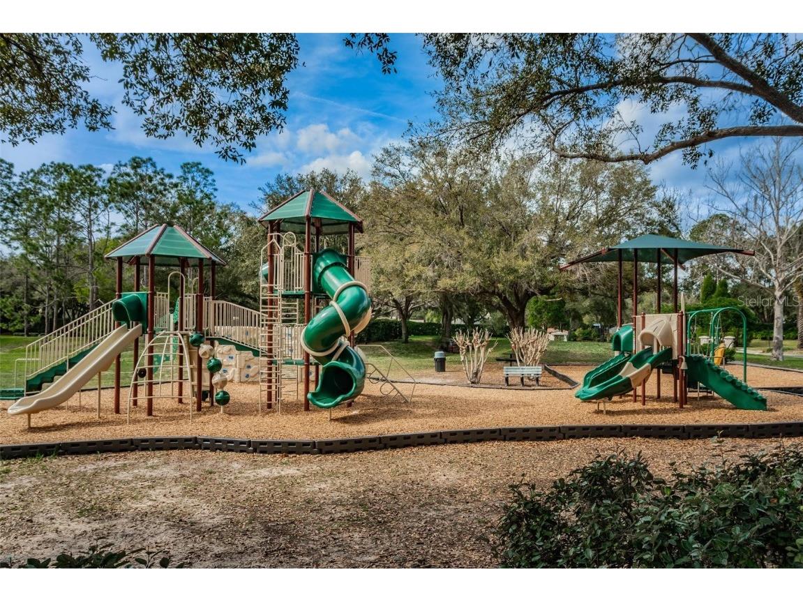 5205 Fairway One Drive Valrico FL 33596 TB8391656 image33