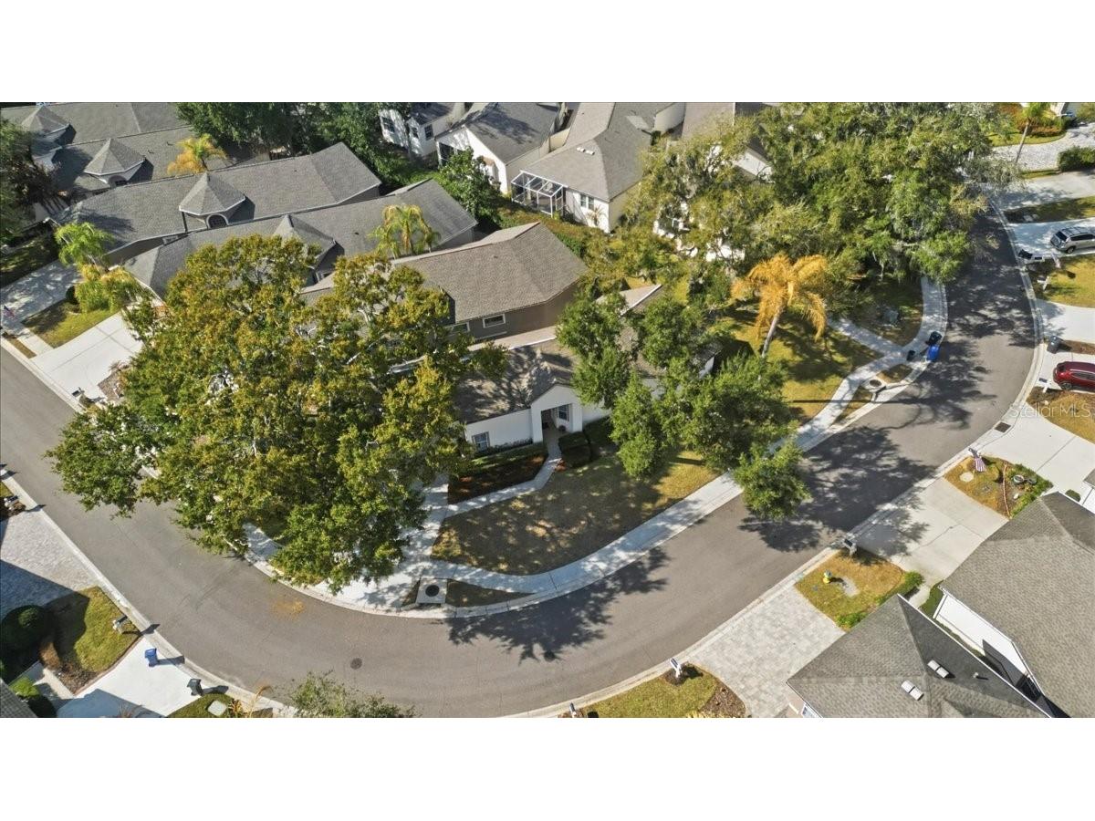 5205 Fairway One Drive Valrico FL 33596 TB8478480 image40