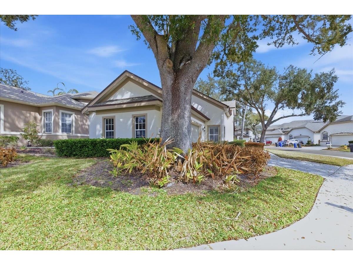 5205 Fairway One Drive Valrico FL 33596 TB8478480 image45