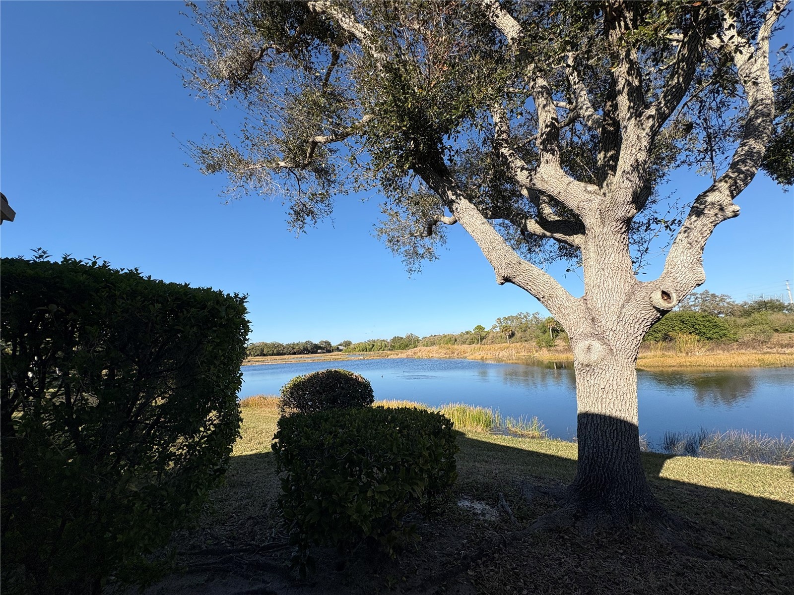 5205 Far Oak Circle Sarasota FL 34238 A4682161 image43