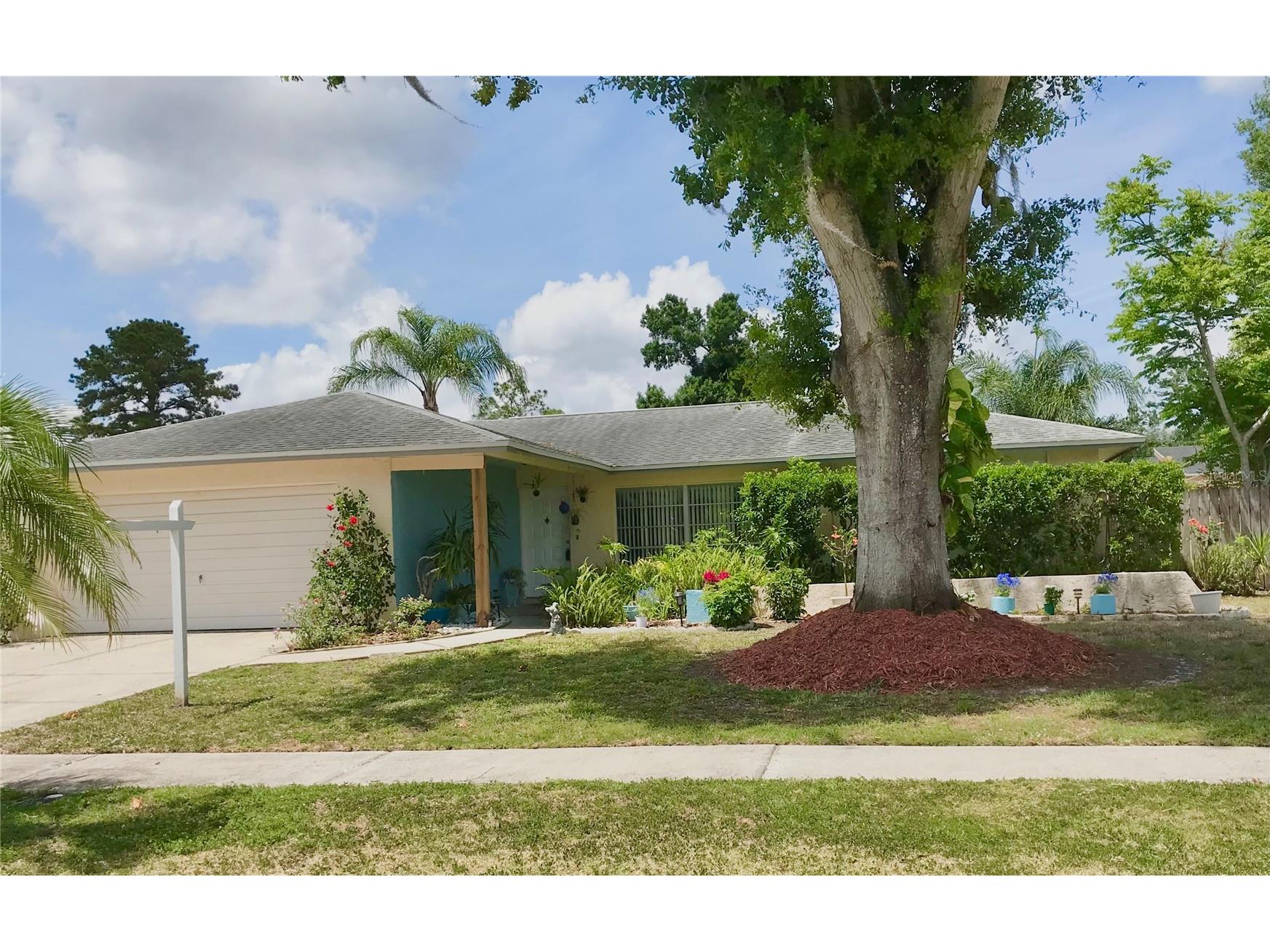 5205 Ripple Creek Drive Tampa FL 33625 TB8478715 image1