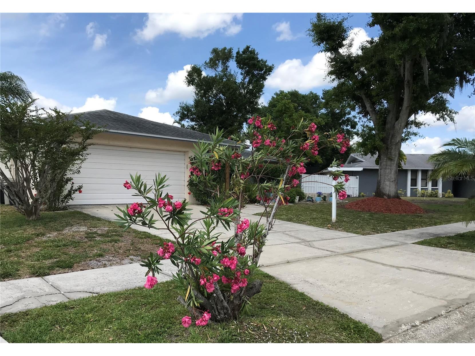 5205 Ripple Creek Drive Tampa FL 33625 TB8478715 image2