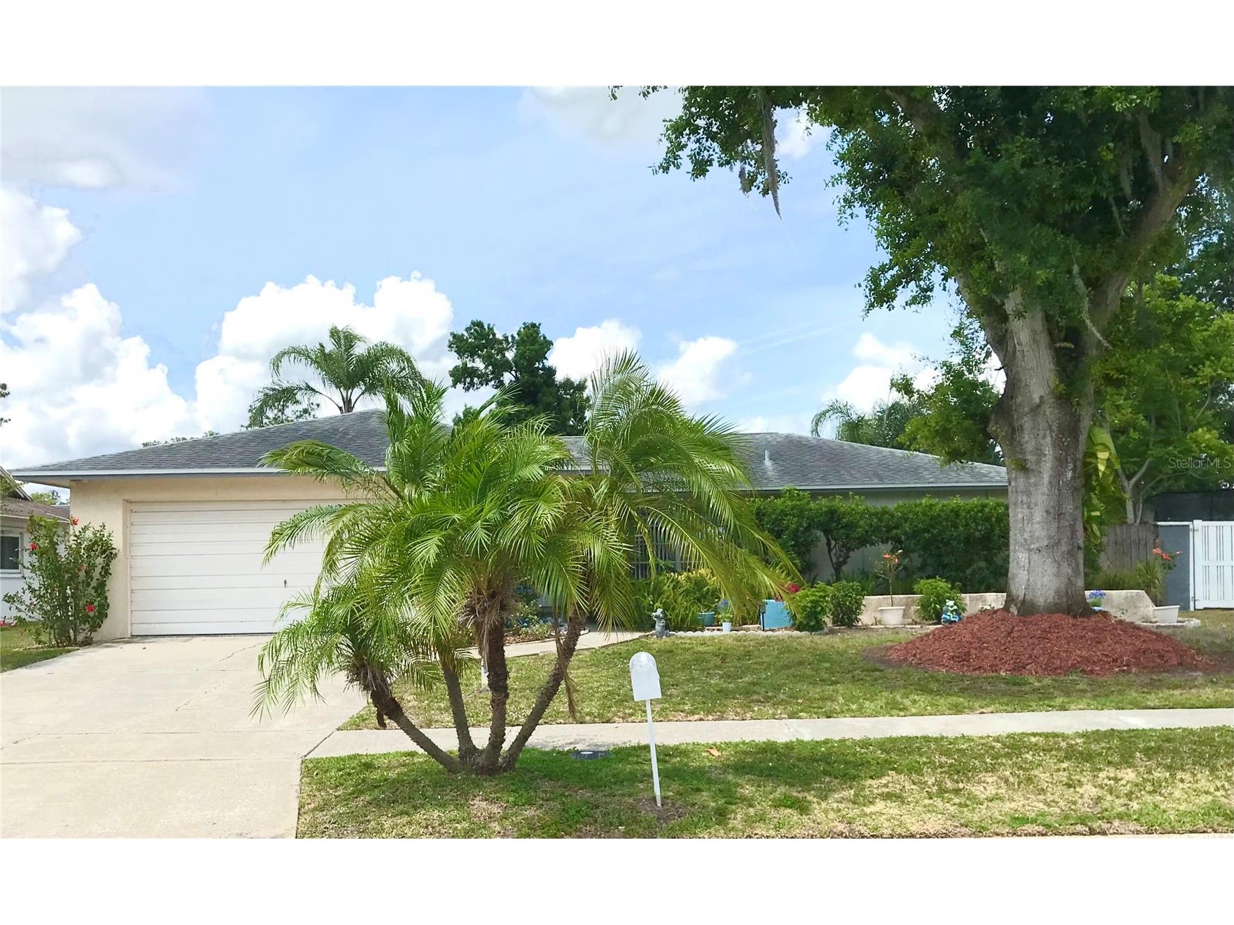 5205 Ripple Creek Drive Tampa FL 33625 TB8478715 image48