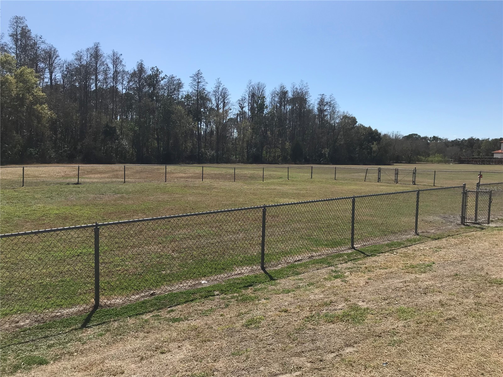 5205 Ripple Creek Drive Tampa FL 33625 TB8478715 image53