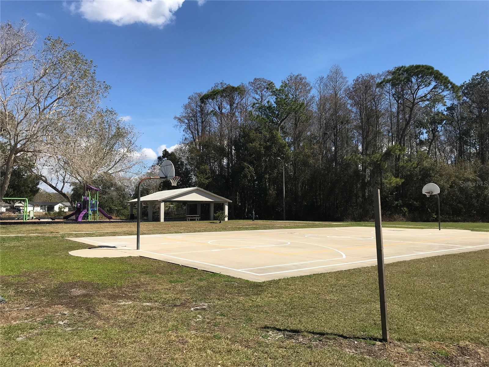 5205 Ripple Creek Drive Tampa FL 33625 TB8478715 image62