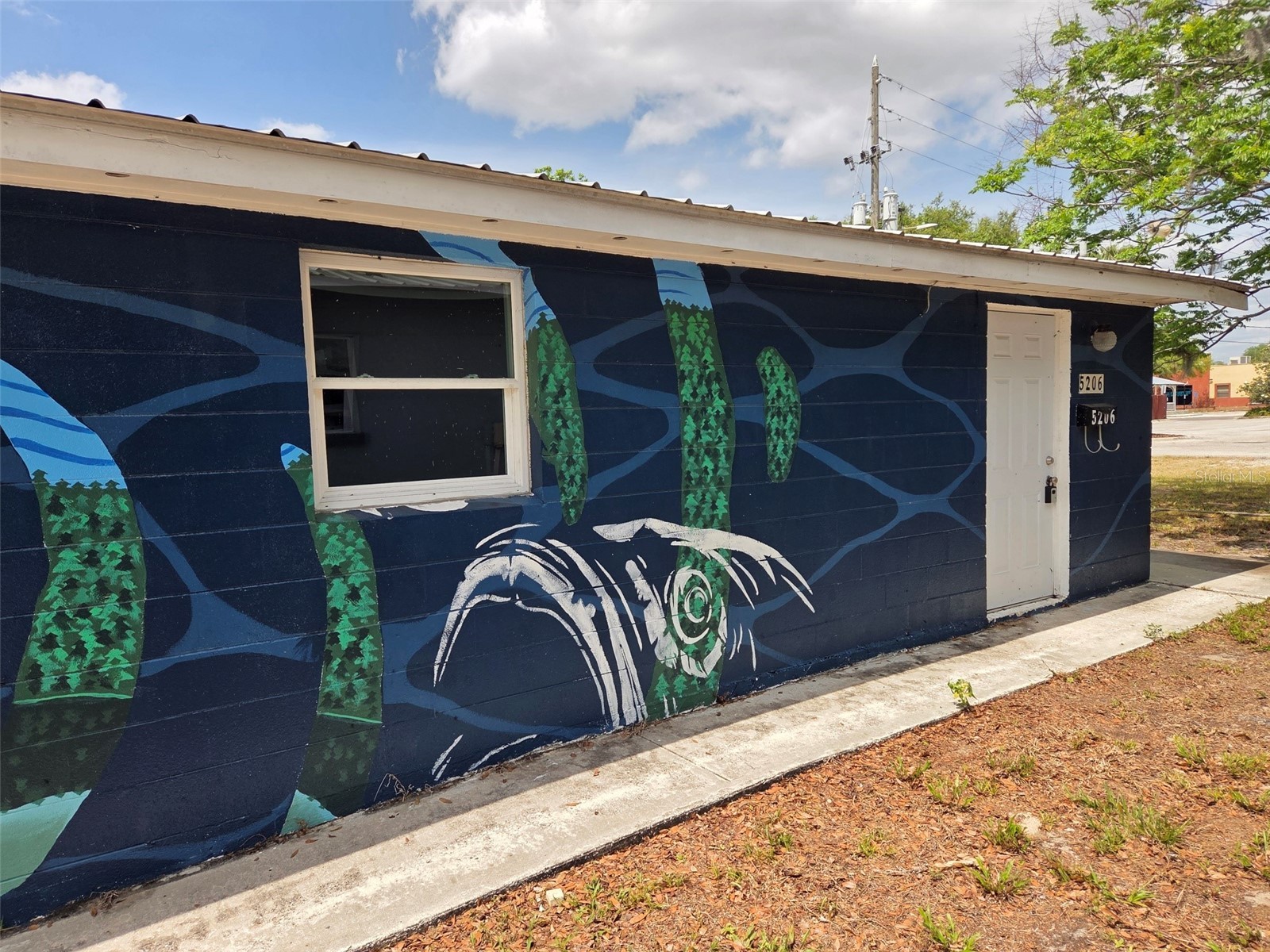5206 7th Street Zephyrhills FL 33542 TB8501088 image1