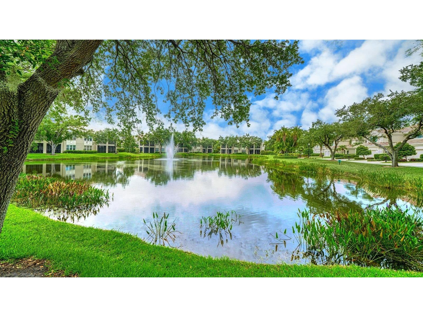5206 Bouchard Circle #101 Sarasota FL 34238 A4696352 image12