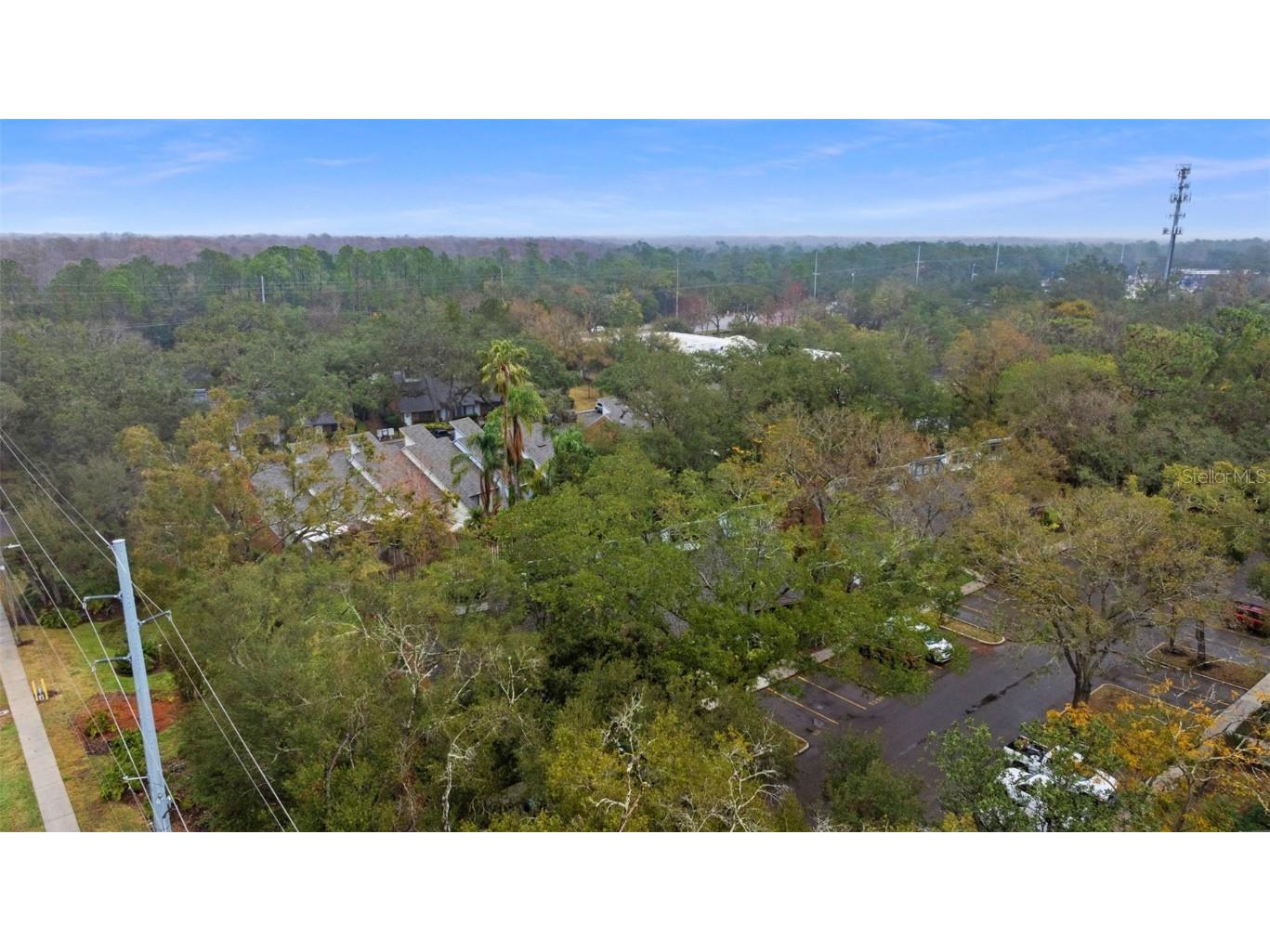 5206 Pine Mill Court Temple Terrace FL 33617 TB8455296 image27