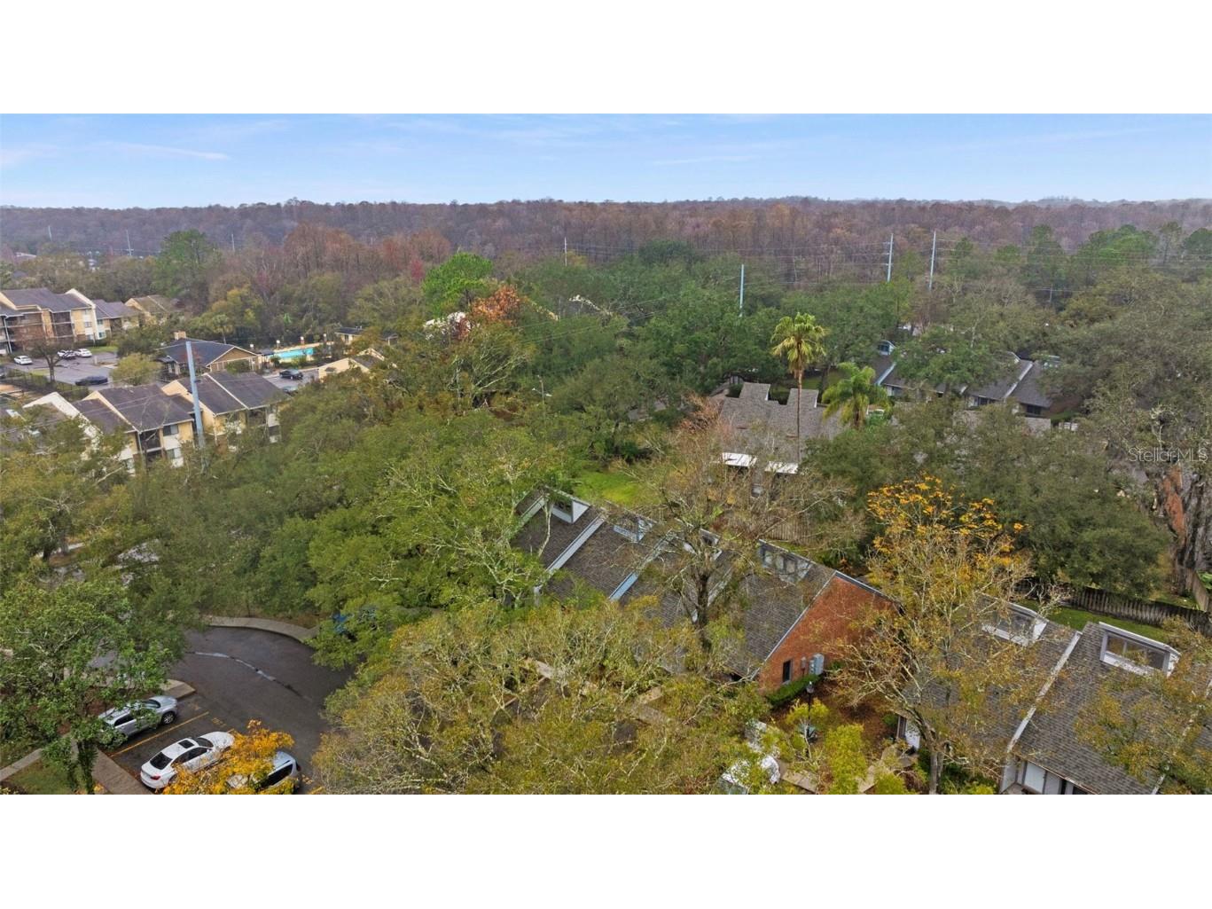 5206 Pine Mill Court Temple Terrace FL 33617 TB8455296 image30