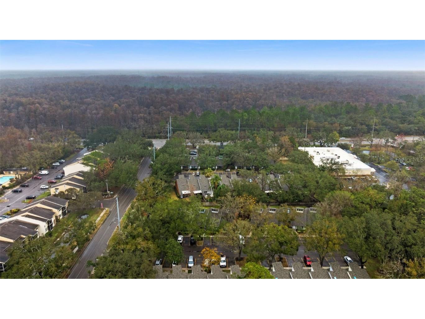 5206 Pine Mill Court Temple Terrace FL 33617 TB8455296 image31