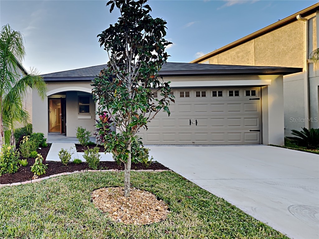 5206 White Chicory Drive Apollo Beach FL 33572 T3416137 image1