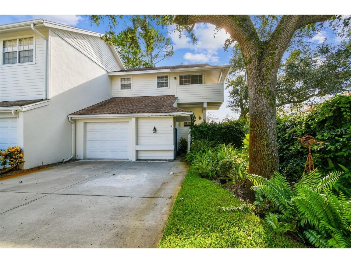 5207 Bayshore Boulevard #16 Tampa FL 33611 TB8402094 image1