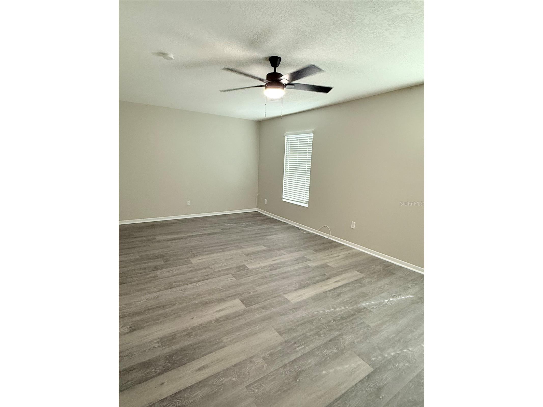 5207 Blane Drive Temple Terrace FL 33617 TB8456410 image15