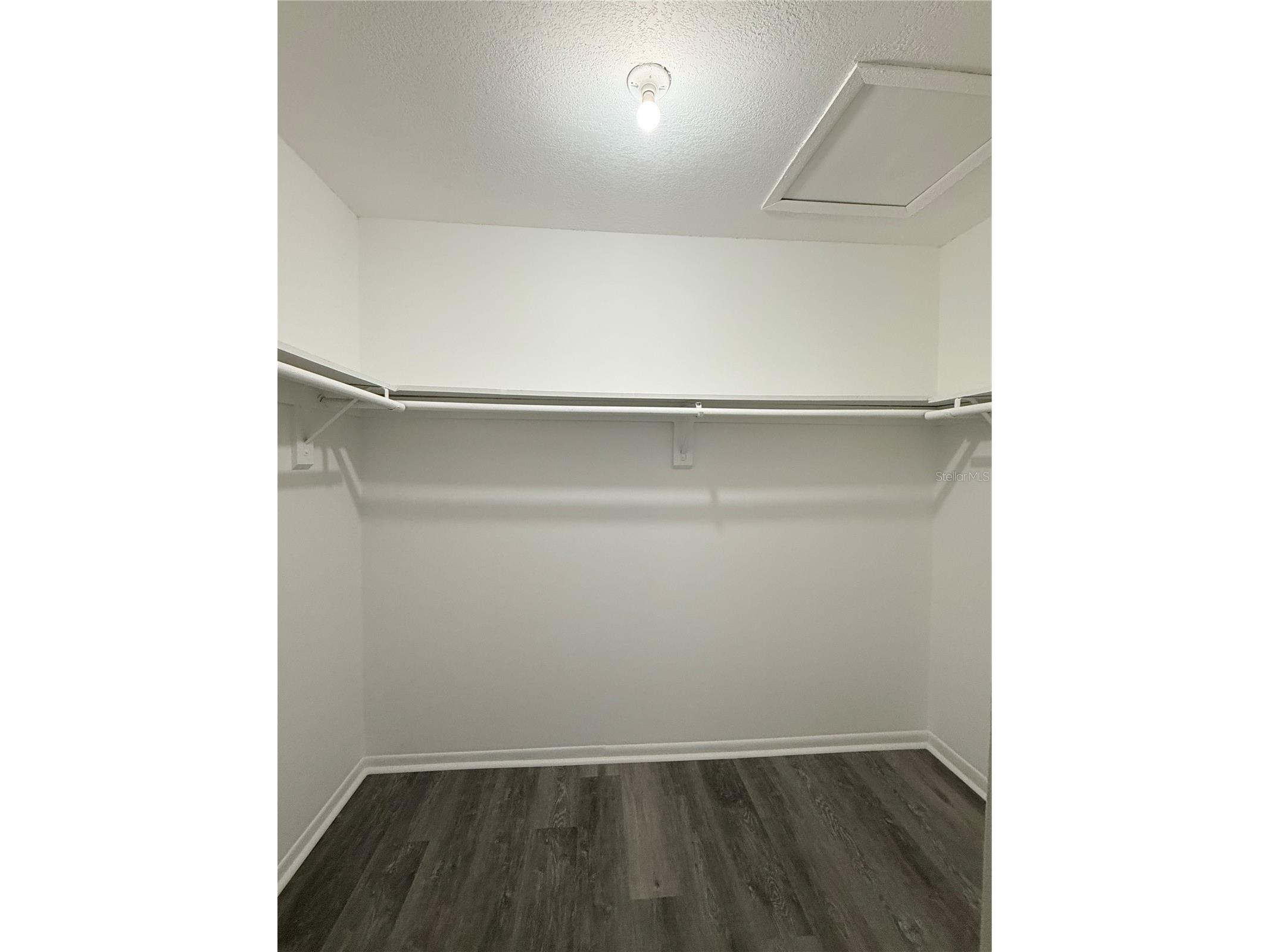 5207 Blane Drive Temple Terrace FL 33617 TB8456410 image18