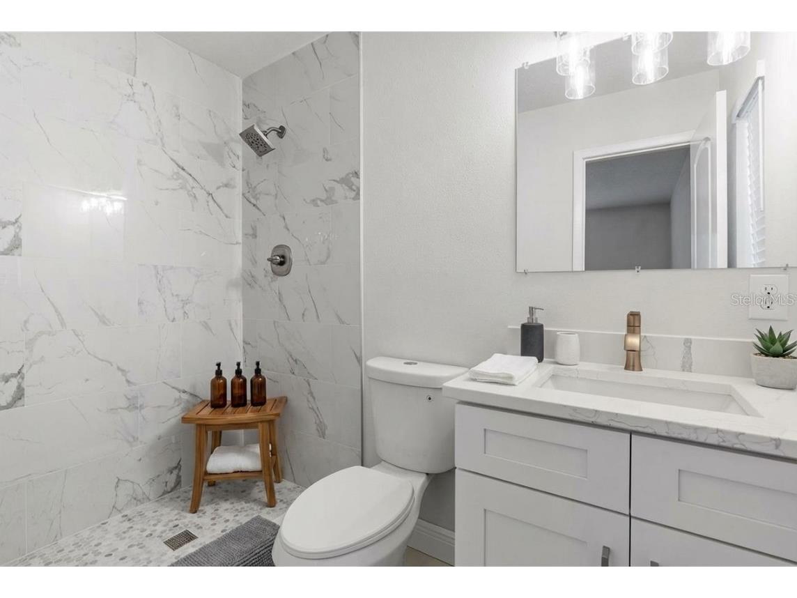 5207 Burr Place Seffner FL 33584 TB8434478 image21