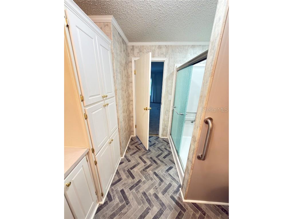 5207 Island View Circle S Polk City FL 33868 P4936917 image33