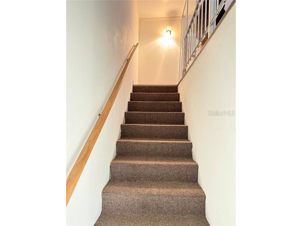 5207 Island View Circle S Polk City FL 33868 P4936917 image37