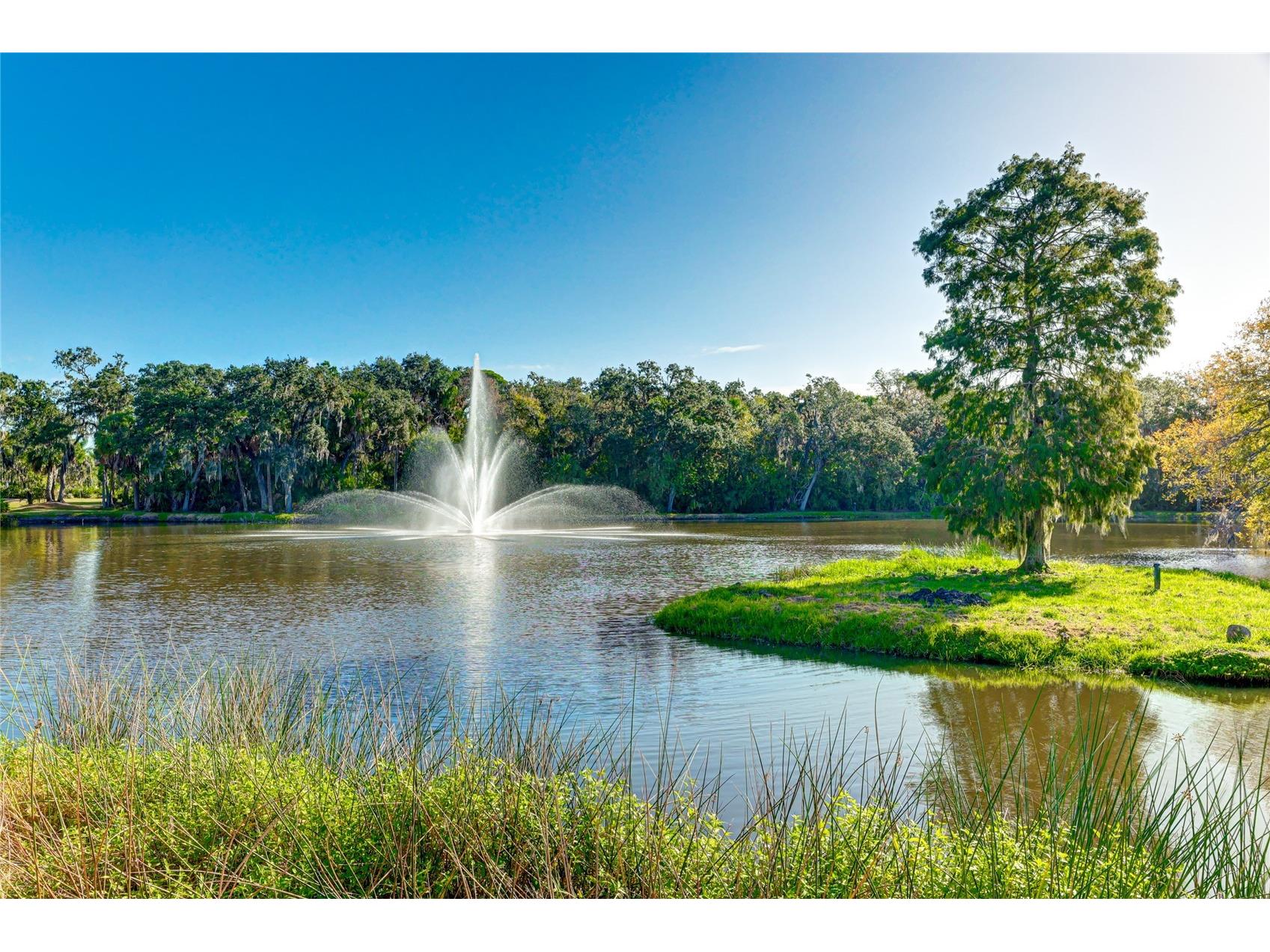 5207 Myrtle Wood #4 Sarasota FL 34235 A4680530 image35