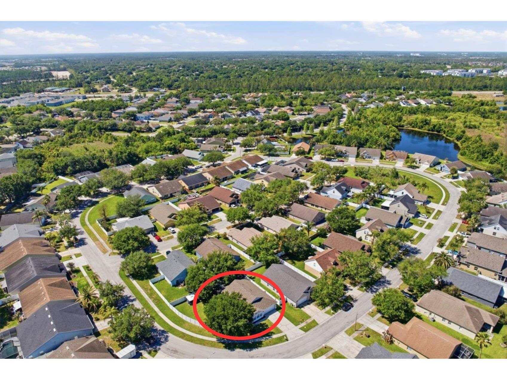 5207 New Savannah Circle Wesley Chapel FL 33545 TB8497819 image36