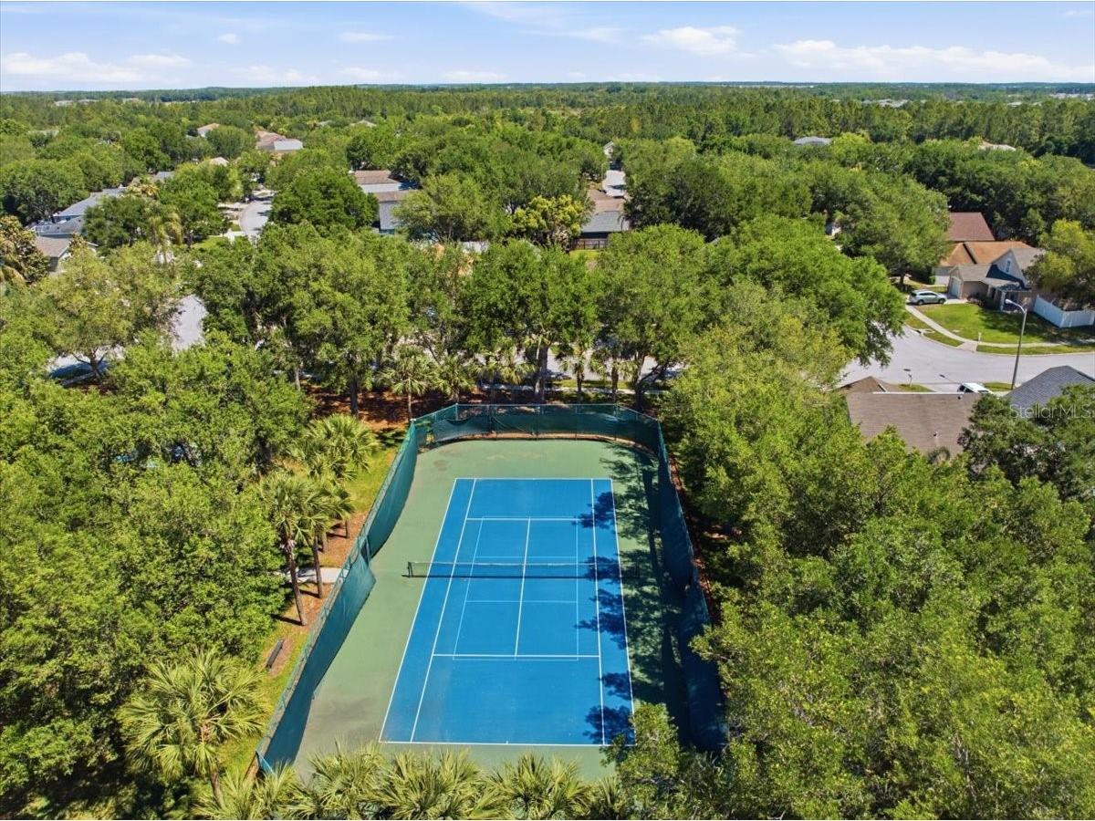 5207 New Savannah Circle Wesley Chapel FL 33545 TB8497819 image39