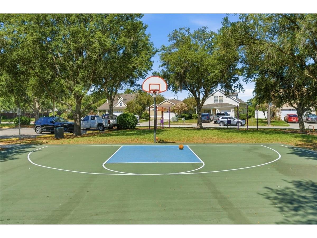 5207 New Savannah Circle Wesley Chapel FL 33545 TB8497819 image40