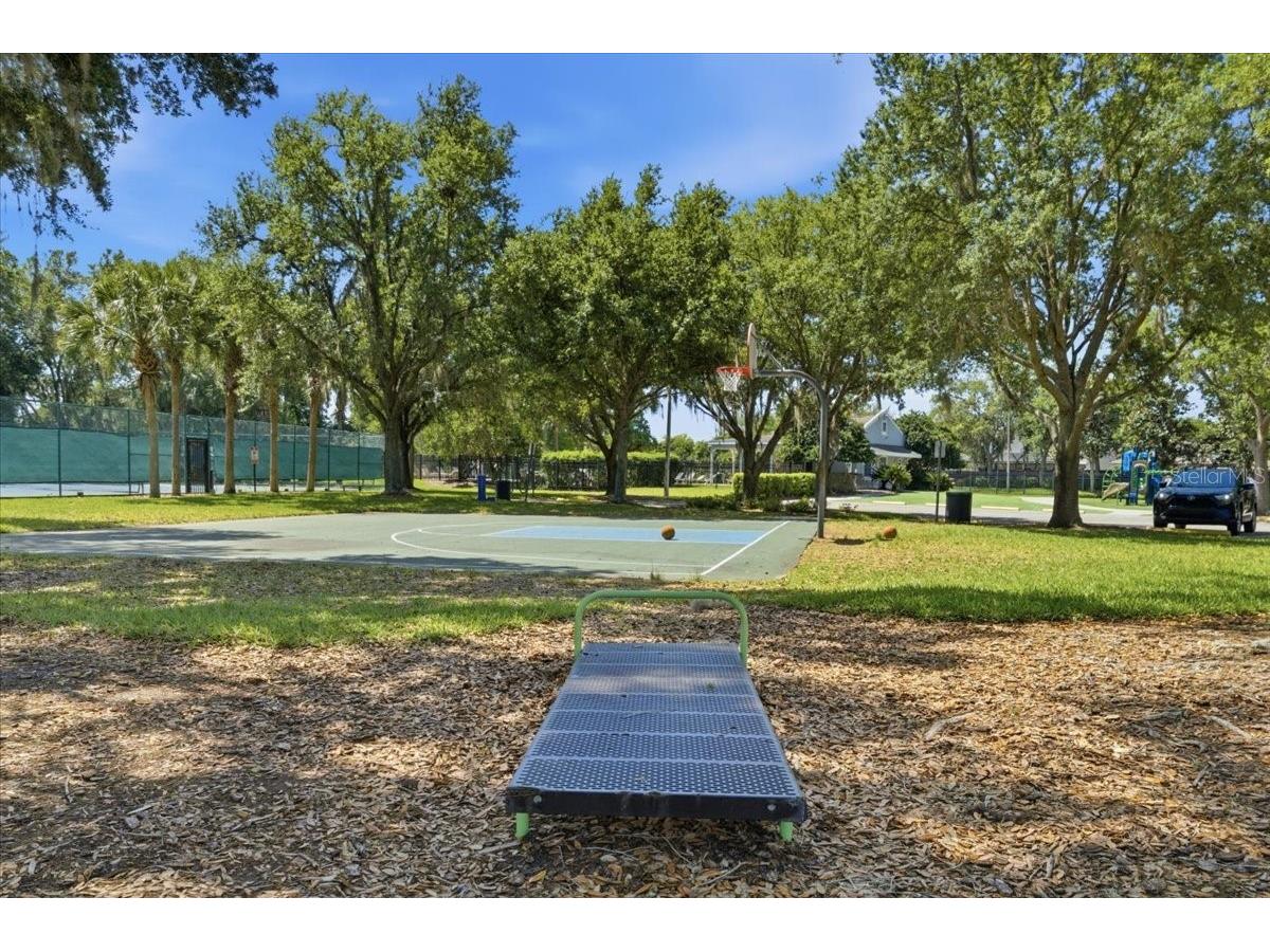 5207 New Savannah Circle Wesley Chapel FL 33545 TB8497819 image41