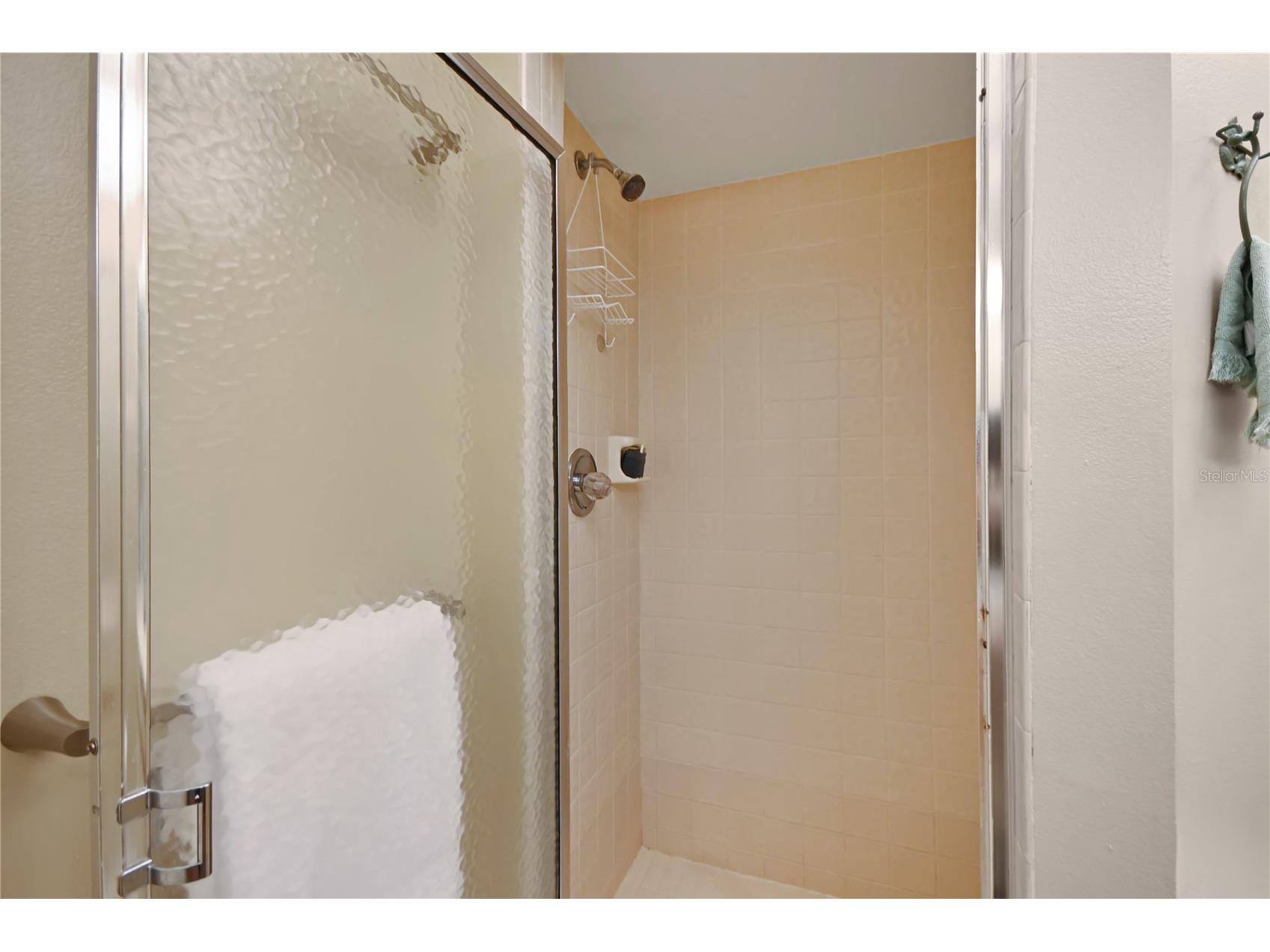 5207 S Atlantic Avenue #323 New Smyrna Beach FL 32169 NS1088346 image29