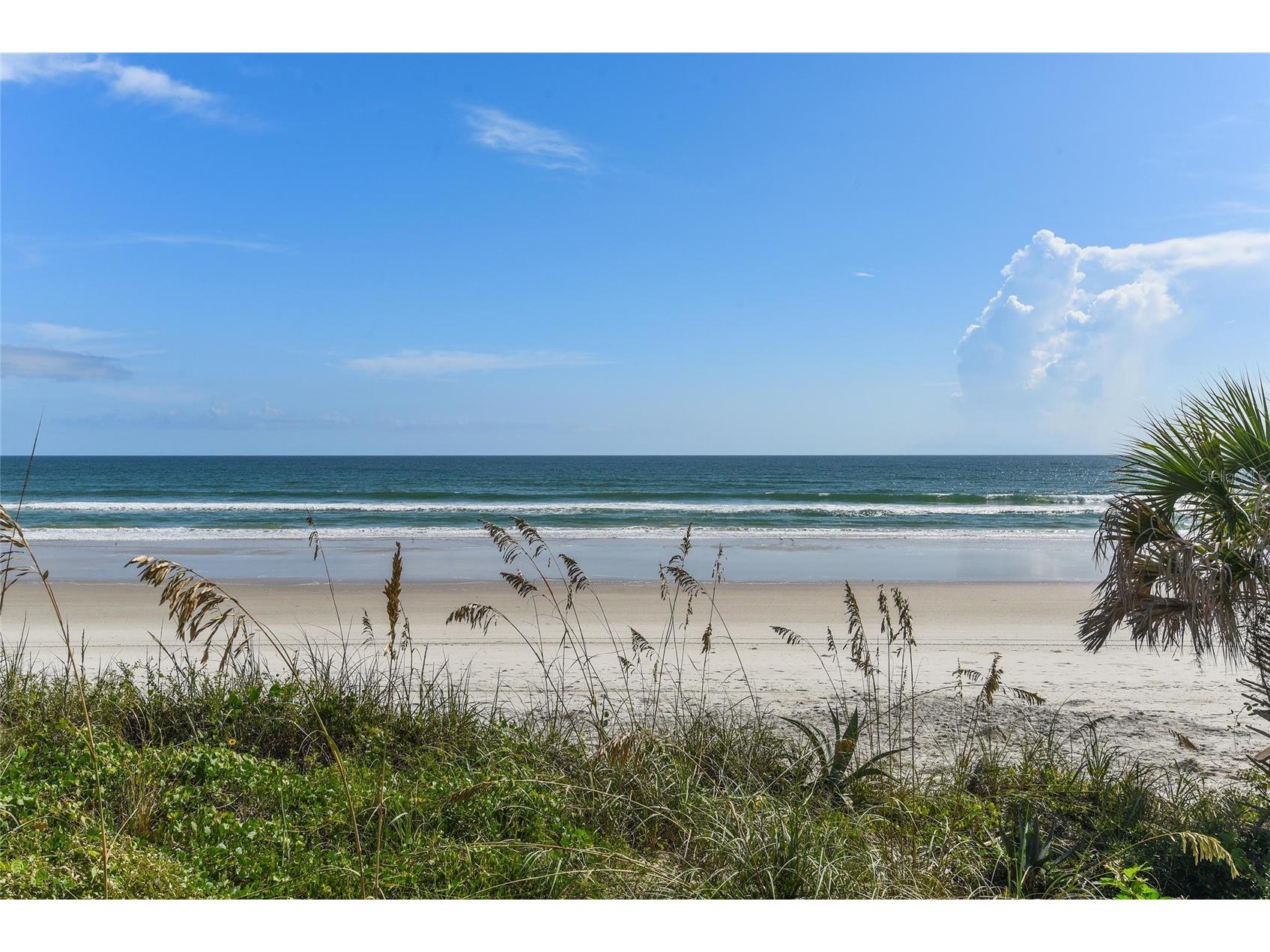 5207 S Atlantic Avenue #626 New Smyrna Beach FL 32169 NS1087015 image35