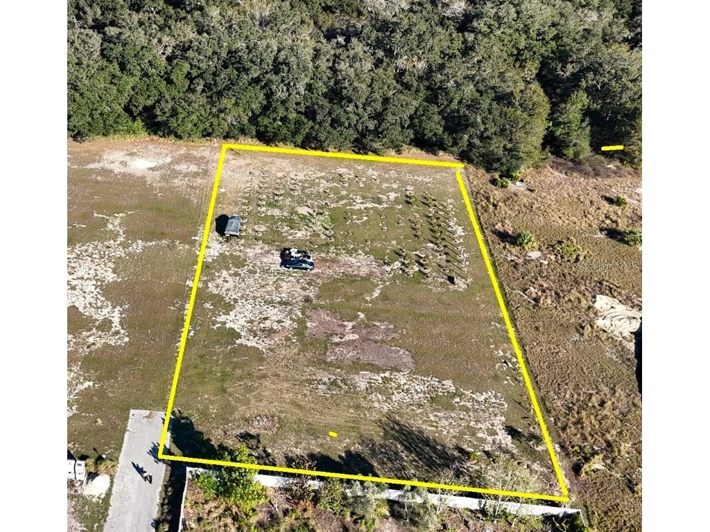 5207 Southern Dipper Lane Wimauma FL 33598 T3500429 image1