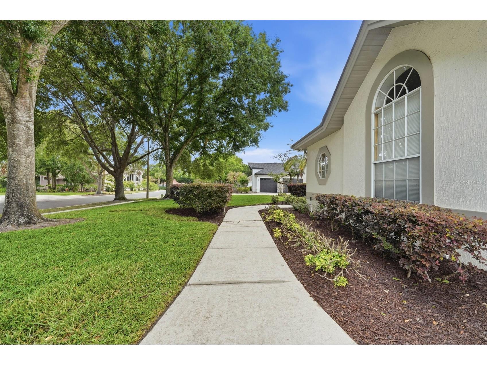 5207 Timberview Terrace Orlando FL 32819 O6402521 image48