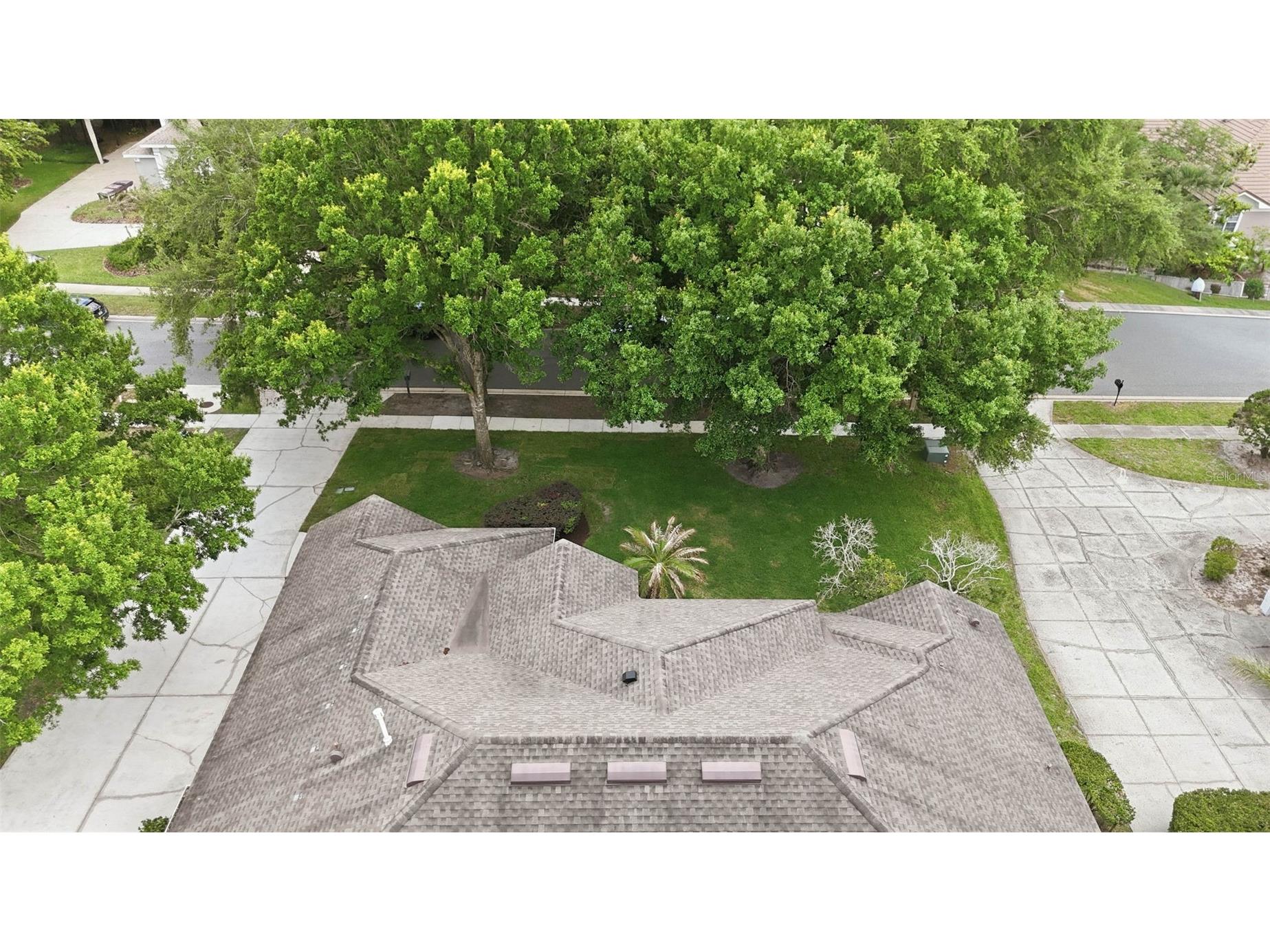 5207 Timberview Terrace Orlando FL 32819 O6402521 image57