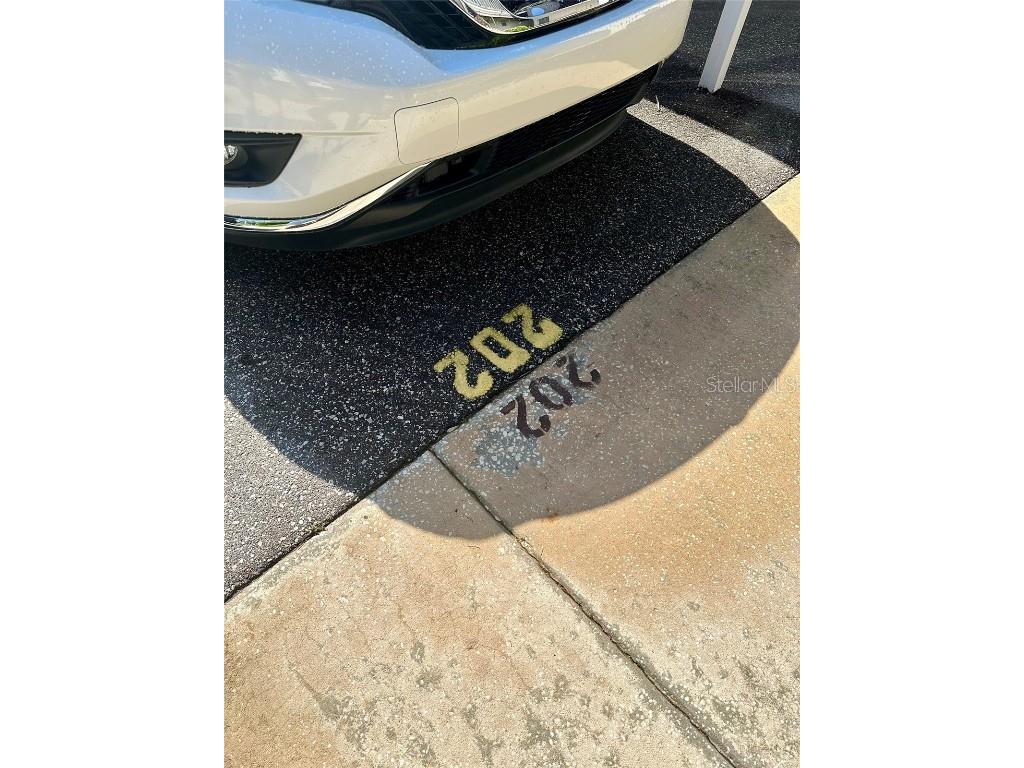 5207 Turquoise Lane #202 New Port Richey FL 34652 TB8335251 image17