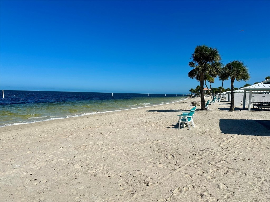 5207 Turquoise Lane #202 New Port Richey FL 34652 TB8335251 image24