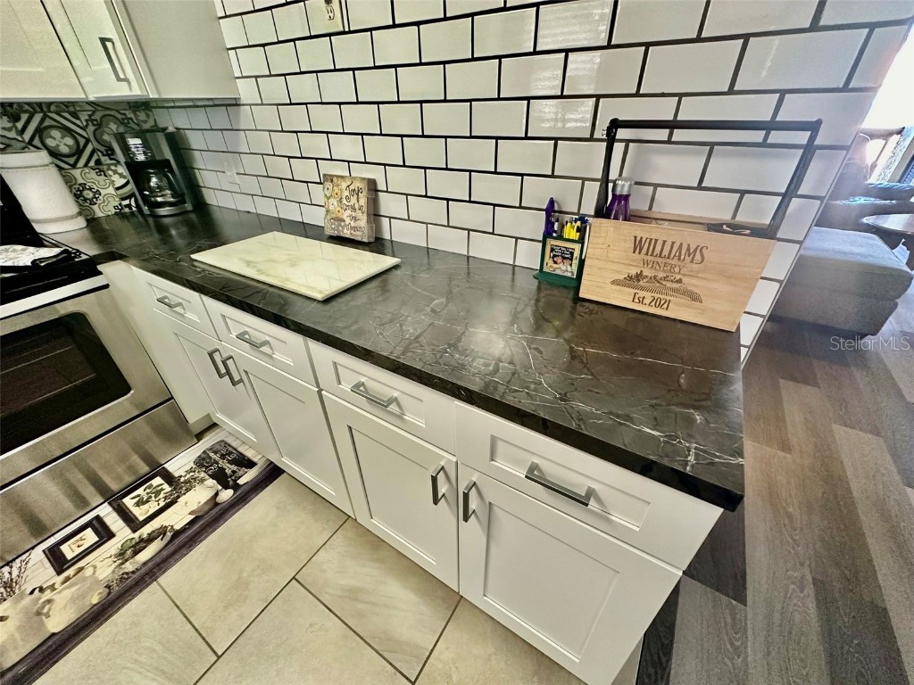 5207 Turquoise Lane #202 New Port Richey FL 34652 TB8335251 image7