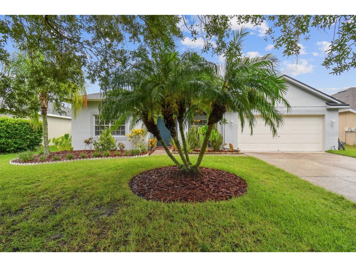 5207 Villagebrook Drive Wesley Chapel FL 33544 T3467059 image1