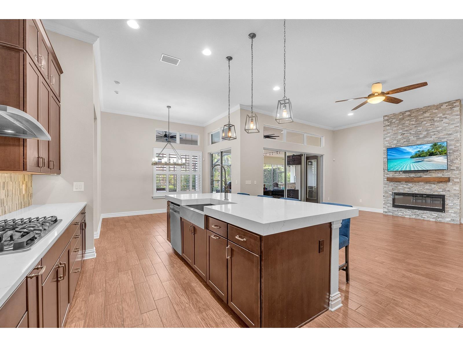 5208 Alafia Falls Drive Lithia FL 33547 TB8515960 image14
