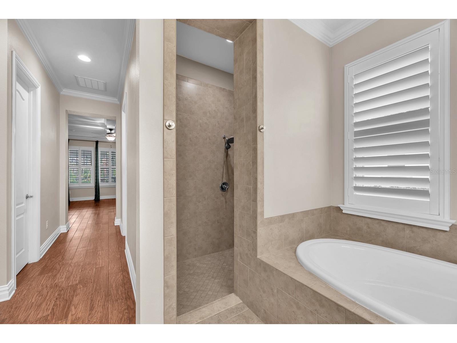 5208 Alafia Falls Drive Lithia FL 33547 TB8515960 image22