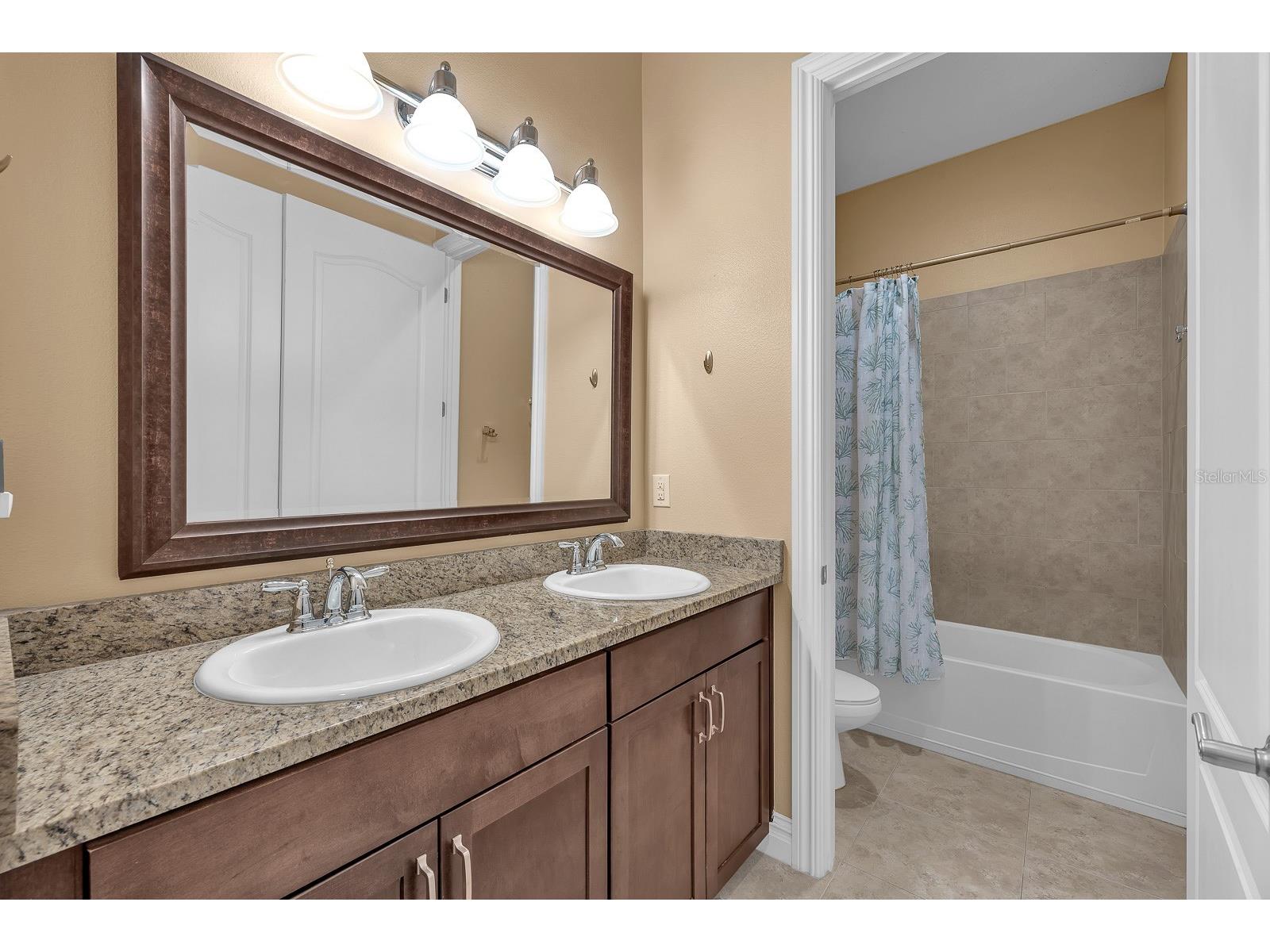 5208 Alafia Falls Drive Lithia FL 33547 TB8515960 image27
