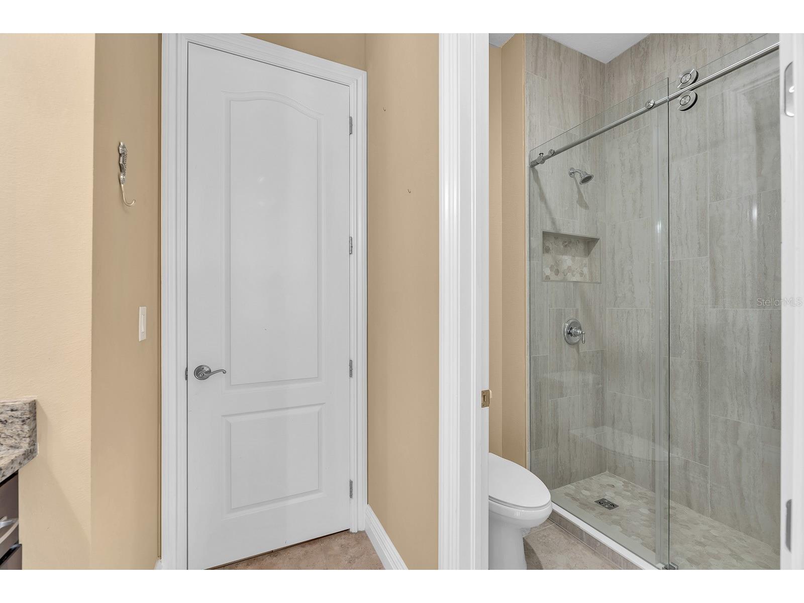 5208 Alafia Falls Drive Lithia FL 33547 TB8515960 image32