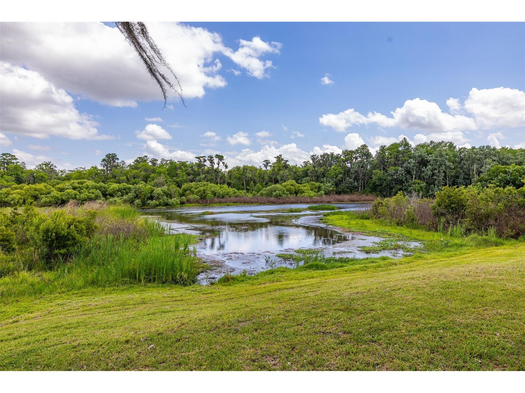 5208 Deer Creek Drive Orlando FL 32821 S5148799 image48