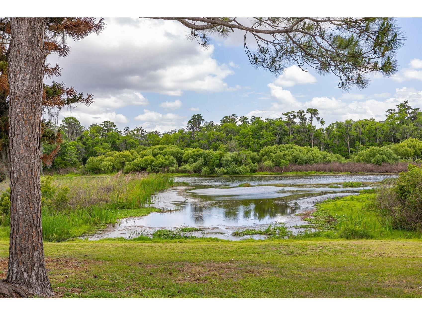 5208 Deer Creek Drive Orlando FL 32821 S5148799 image51