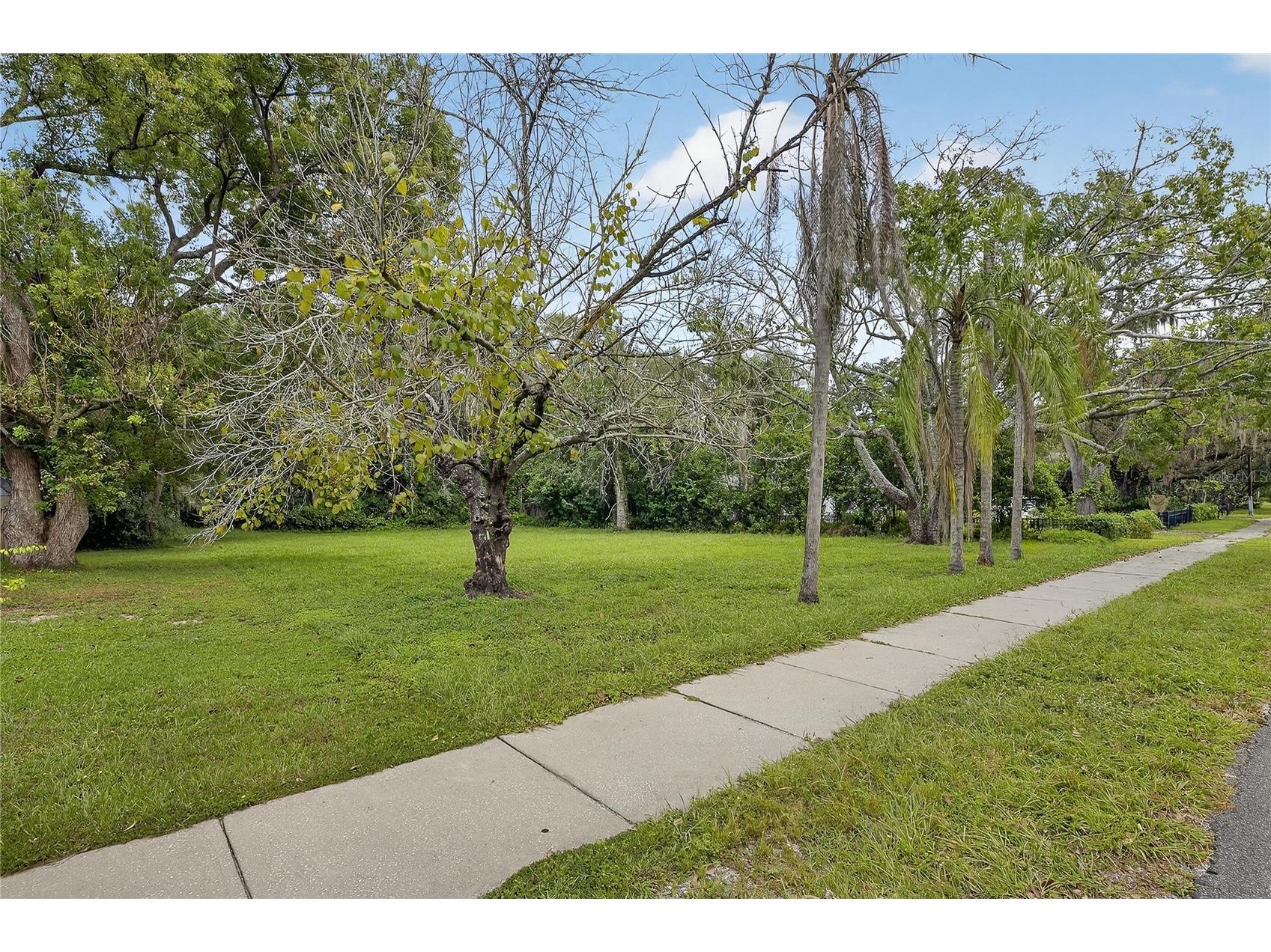 5208 E 122nd Avenue Temple Terrace FL 33617 TB8435144 image4