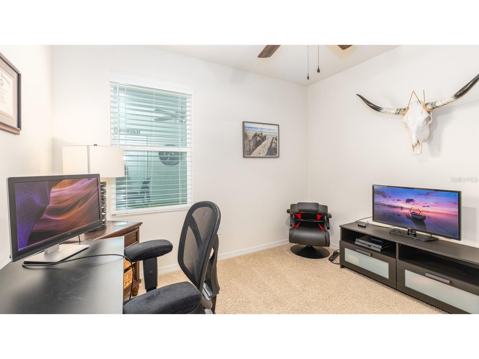 5208 Greenheart Avenue Mount Dora FL 32757 O6407945 image15