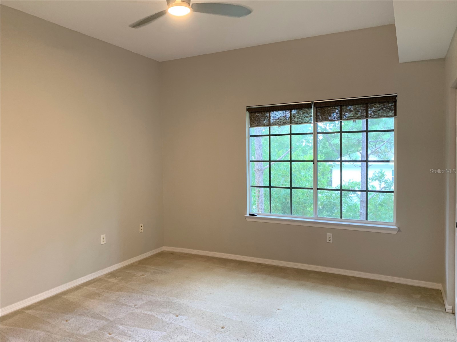 5208 Hampton Beach Place #5208 Tampa FL 33609 TB8526107 image10