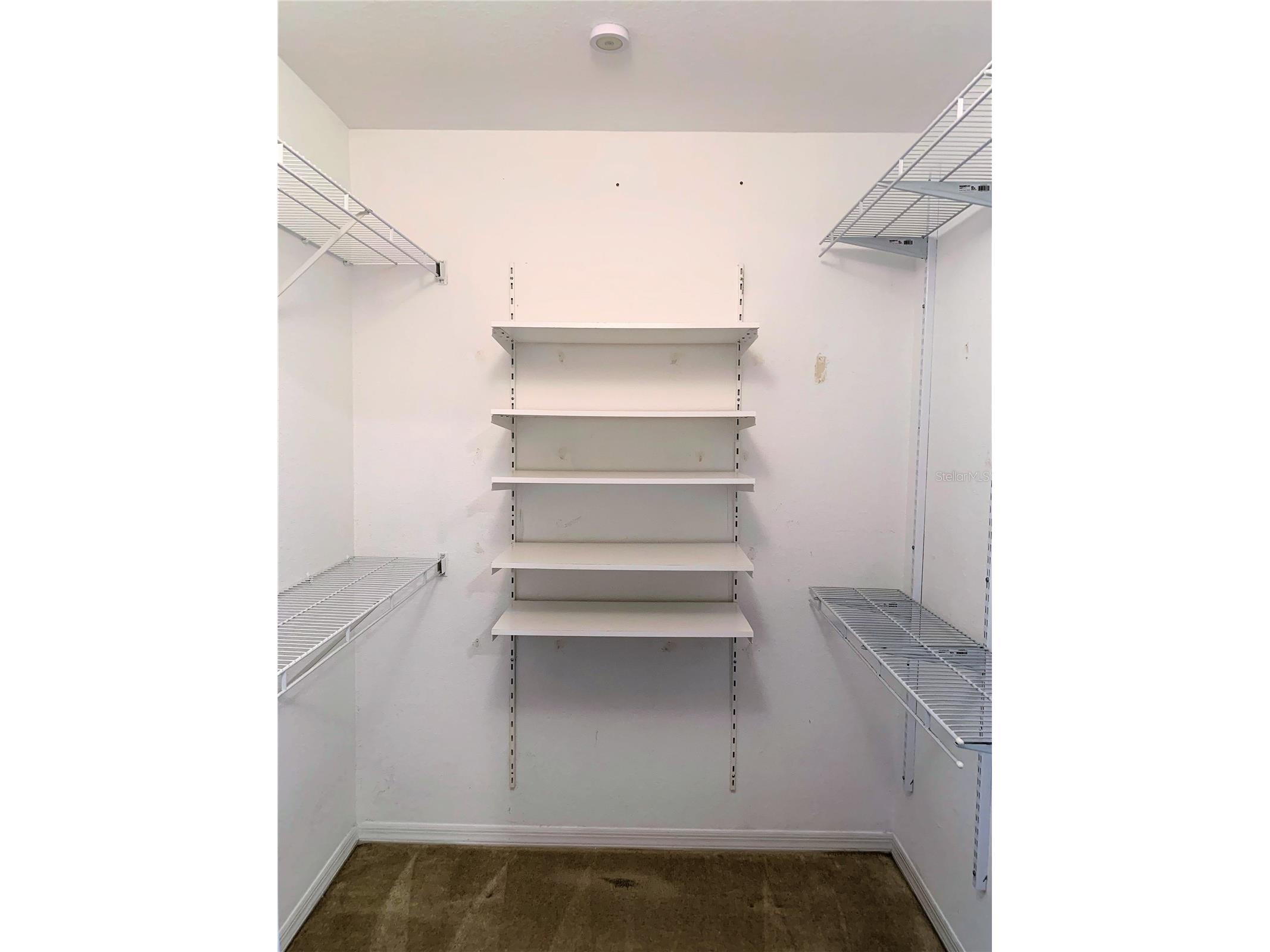 5208 Hampton Beach Place #5208 Tampa FL 33609 TB8526107 image12