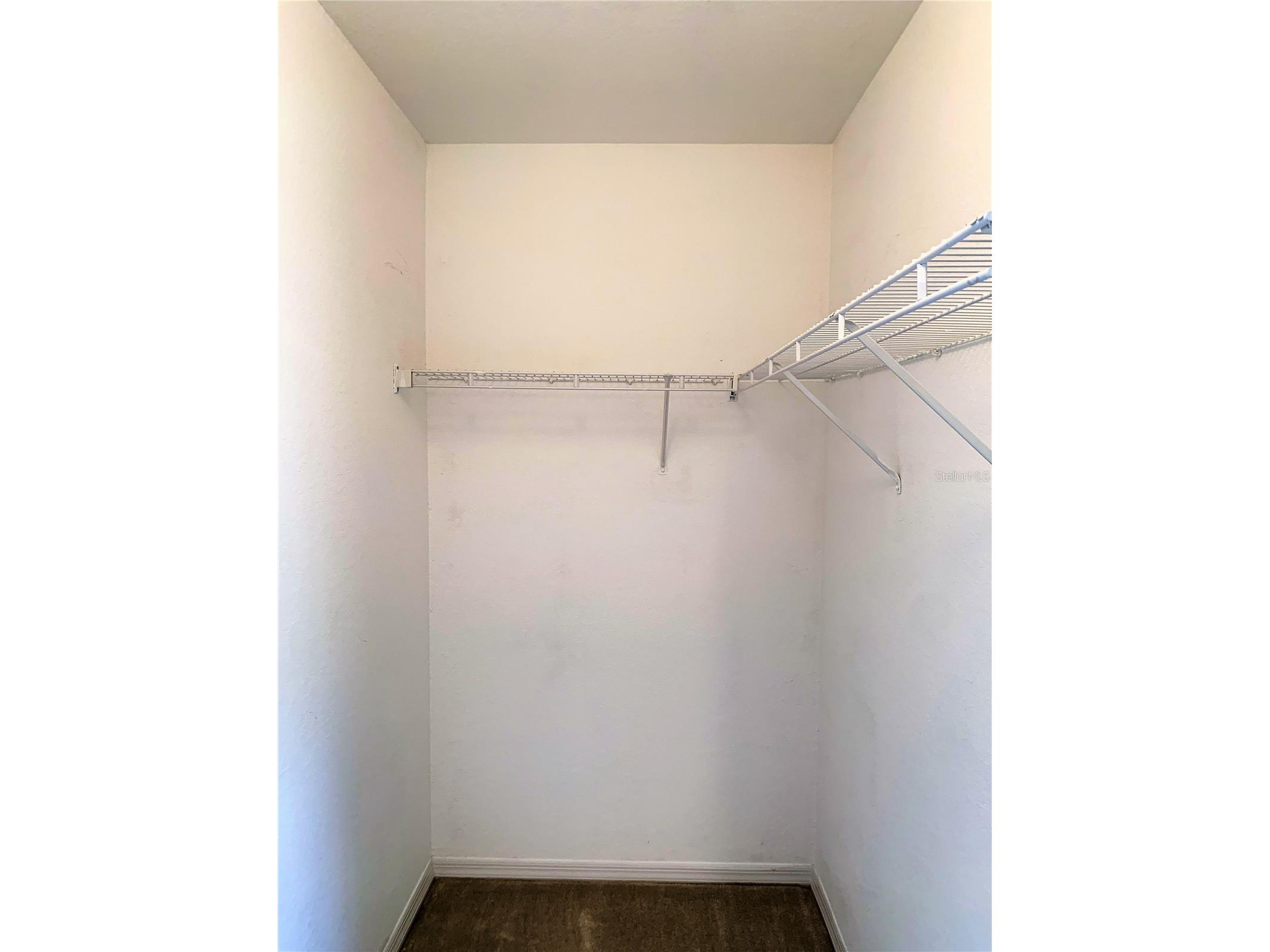 5208 Hampton Beach Place #5208 Tampa FL 33609 TB8526107 image17