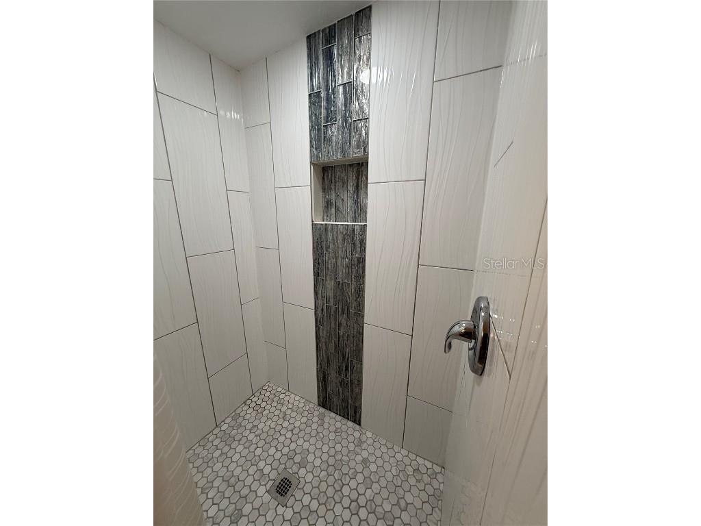 5208 Hill Drive Zephyrhills FL 33542 TB8432462 image27