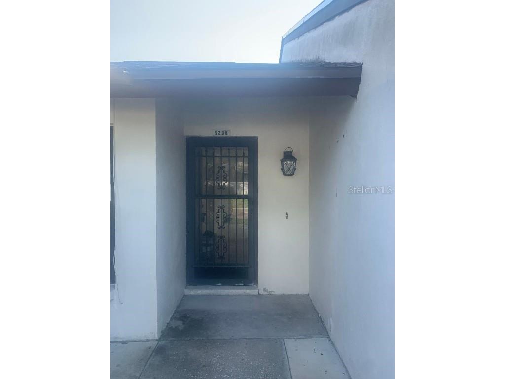 5208 Hopedale Drive Tampa FL 33624 T3456588 image1