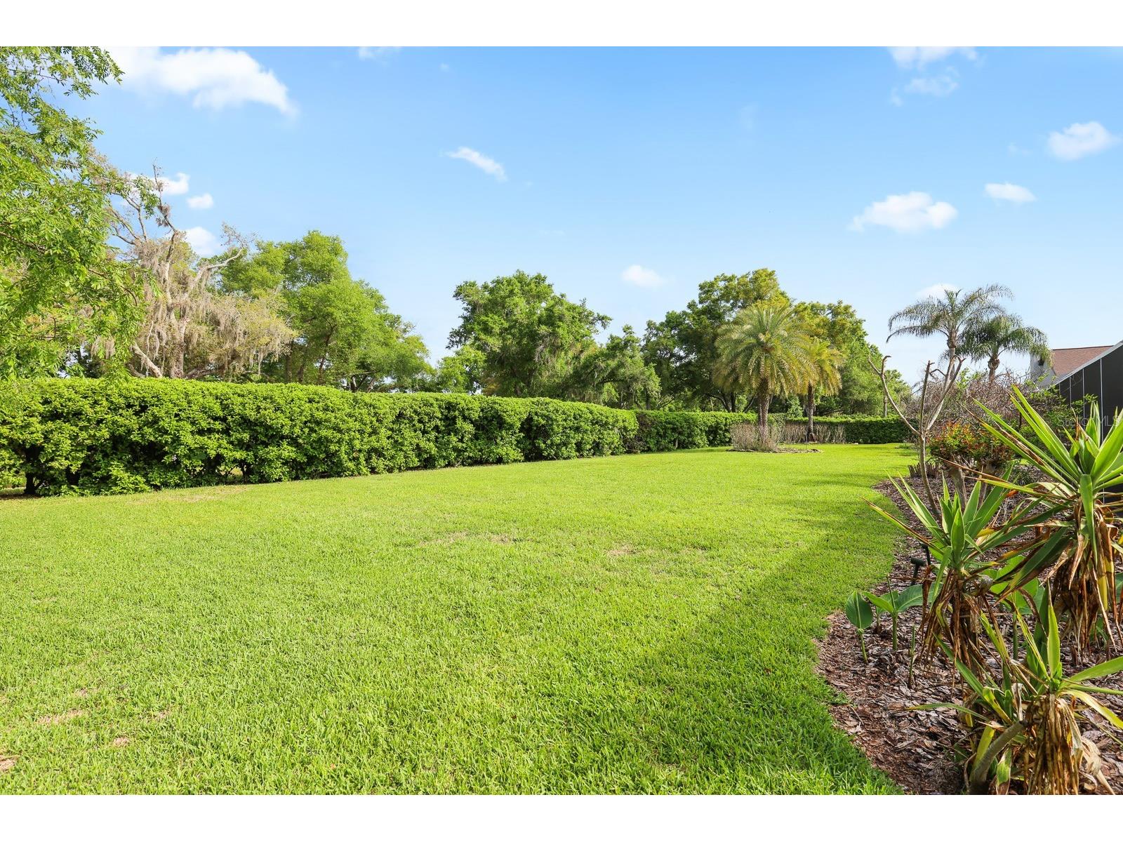5208 Laurel Pointe Drive Valrico FL 33596 TB8485548 image53