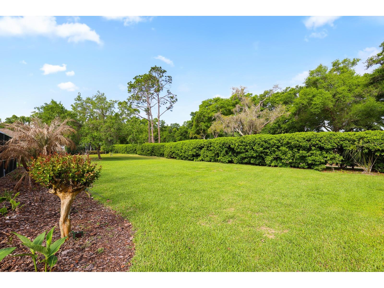 5208 Laurel Pointe Drive Valrico FL 33596 TB8485548 image55
